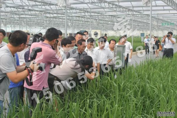 袁隆平水稻研究育苗中(zhōng)心